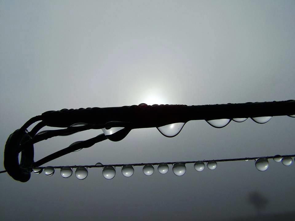 Diverse - 14730603248857509865541660245579n.jpg